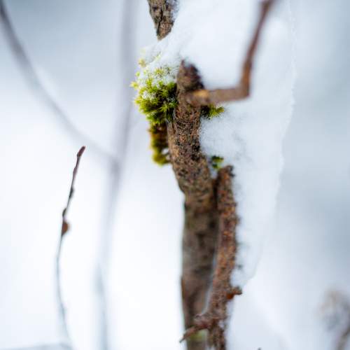 Photo #13225812