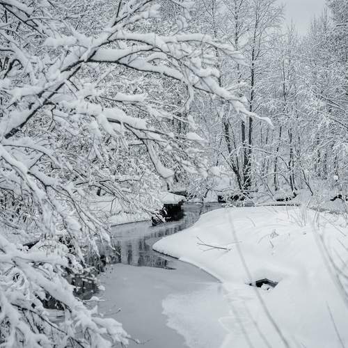 Photo #13225819