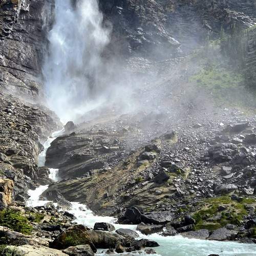 Photo #13225868