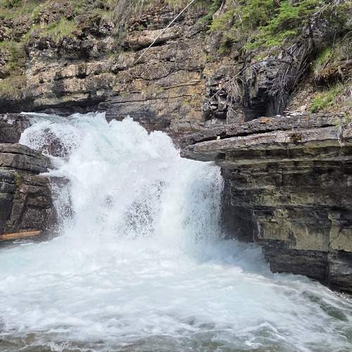 Photo #13225880