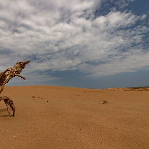 Photo #13225915