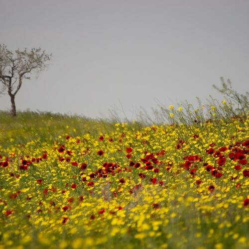 Photo #13225916