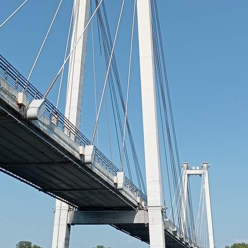 Photo #13226051