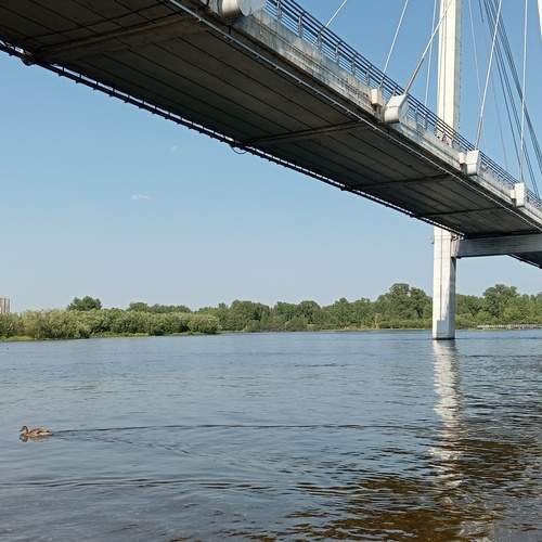 Photo #13226057