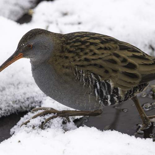 Фотография #13226160