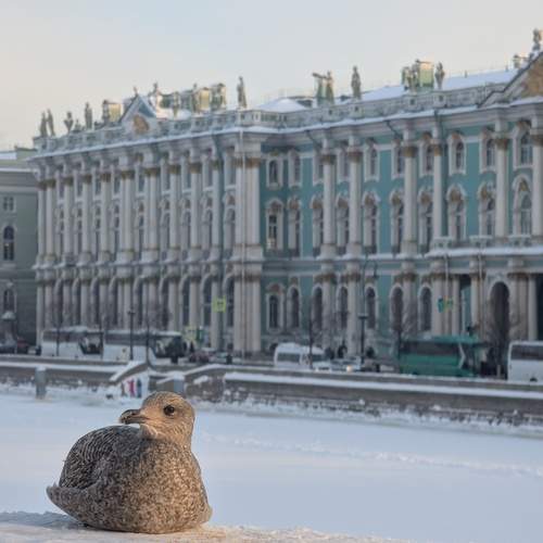 Photo #13226162