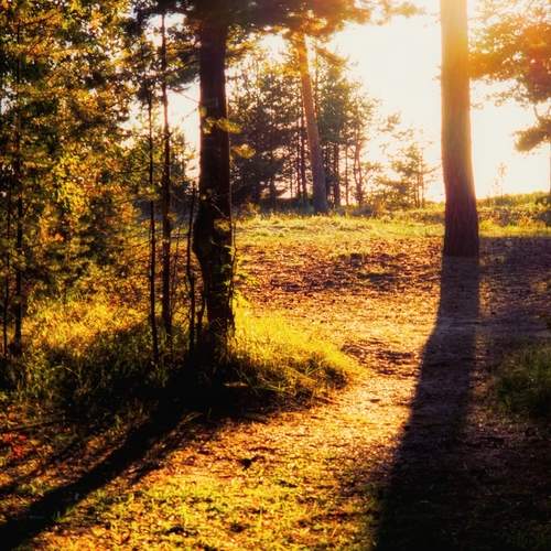 Photo #13226176