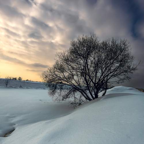 Photo #13226201