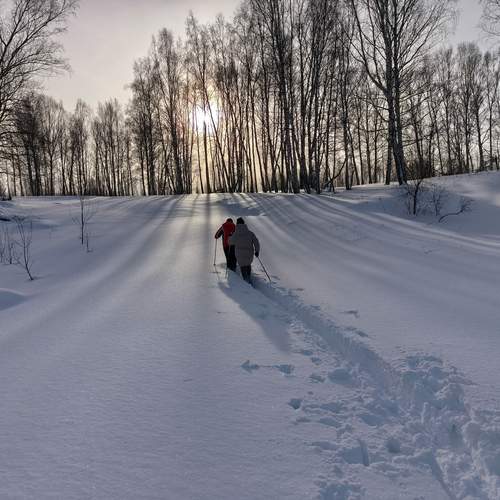 Photo #13226226