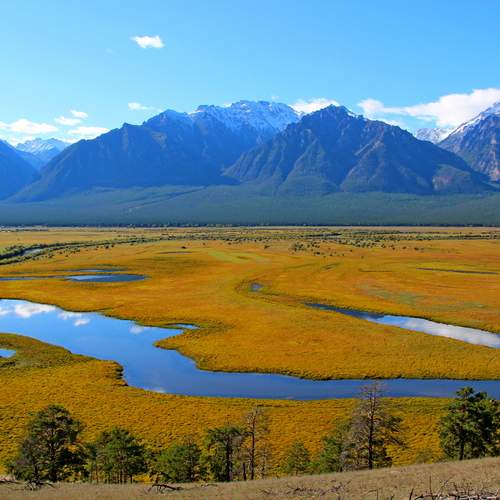Photo #13226450