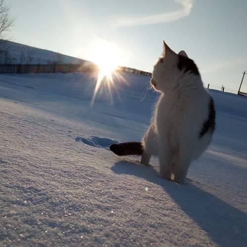 Photo #13226457