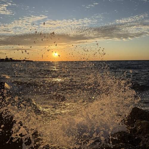 Photo #13226486