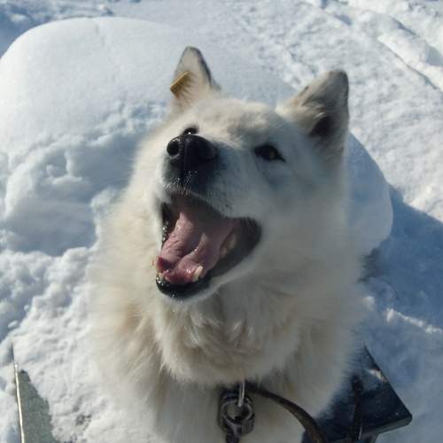 Photo #13226571