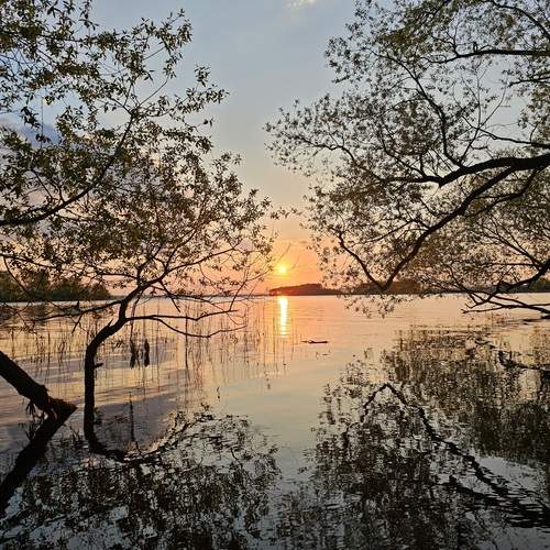 Photo #13226576