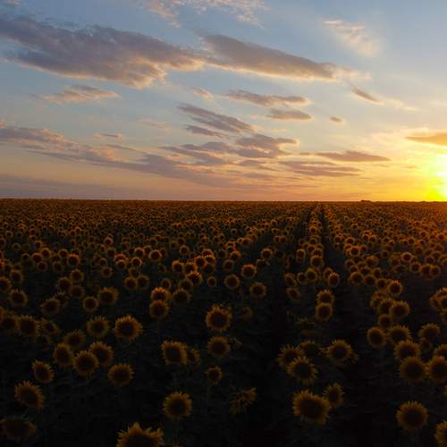 Photo #13226663