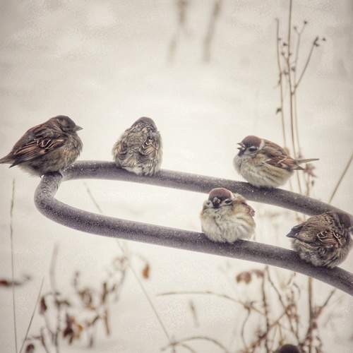 Photo #13226688