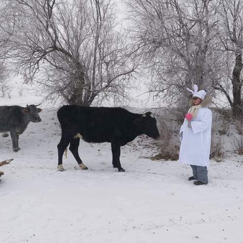 Photo #13226744