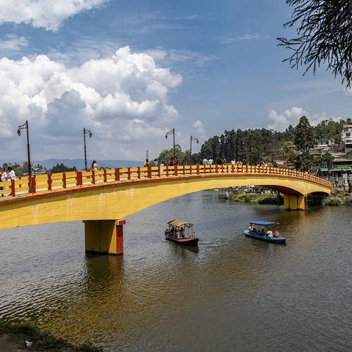 Photo #13226748