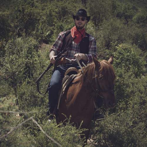 Photo #13226782