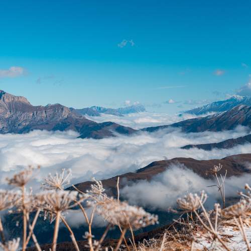 Фотография #13226813