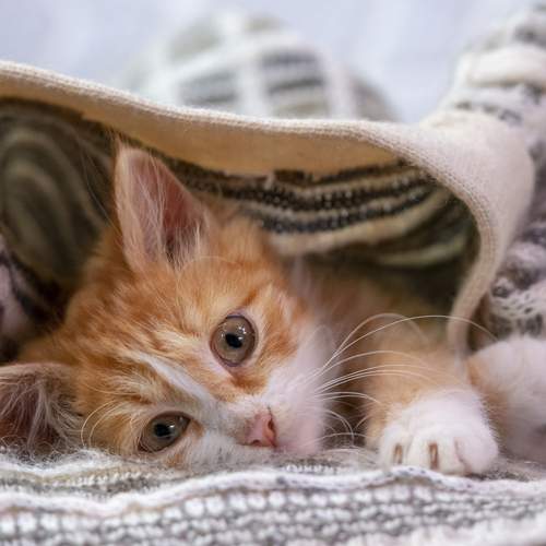 Photo #13226890