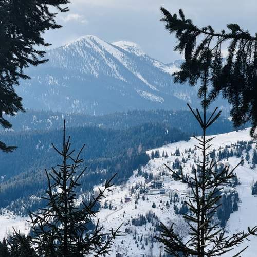 Photo #13226916