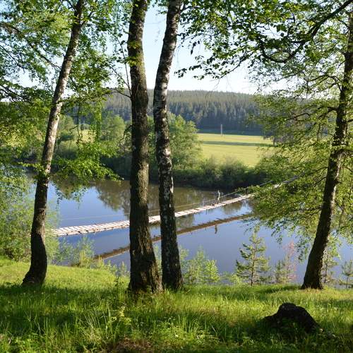 Photo #13226919