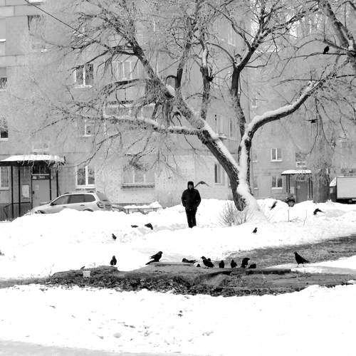 Photo #13226927