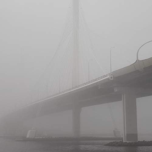 Photo #13227034