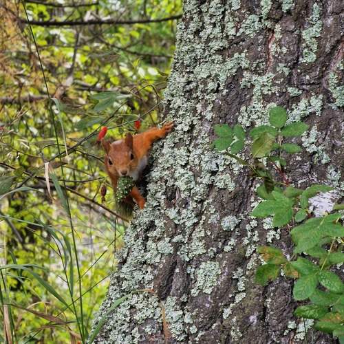 Photo #13227070