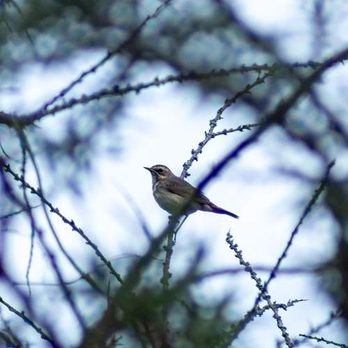 Фотография #13227144