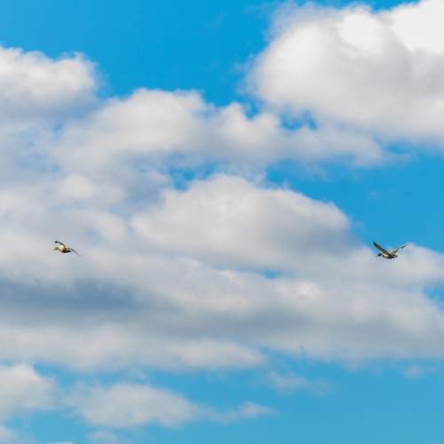 Фотография #13227172