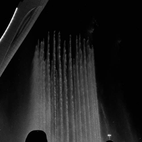 Photo #13227273