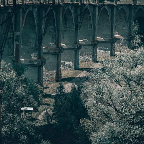 Photo #13227317