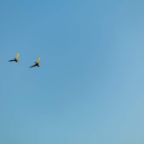 Фотография #13227354