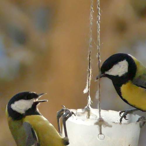 Photo #13227366