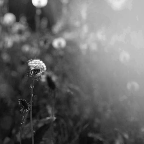 Photo #13227511