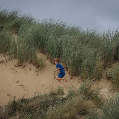 Photo #13227529