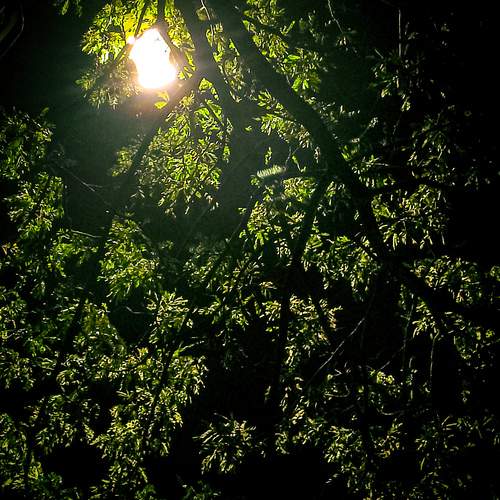 Photo #13227598