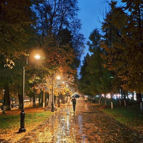 Photo #13227683