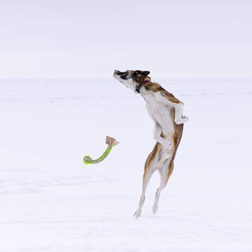 Photo #13227859