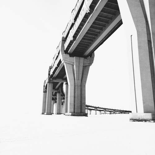 Photo #13227954
