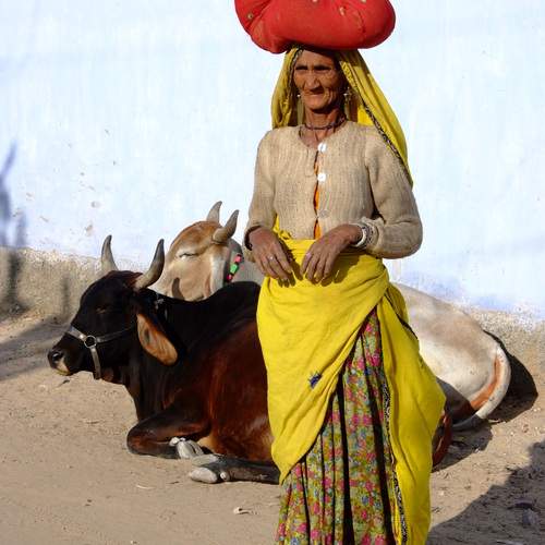 Фотография #13228006