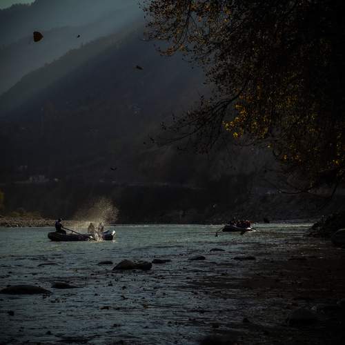 Photo #13228102