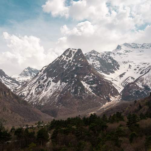 Photo #13228173