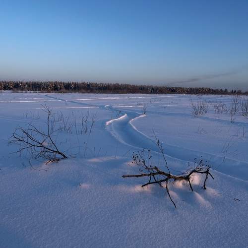 Photo #13228299