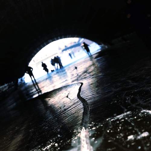 Фотография #13228357