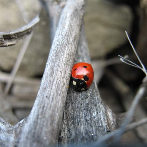 Photo #13228386