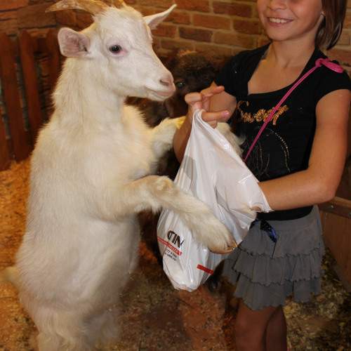 Photo #13228403