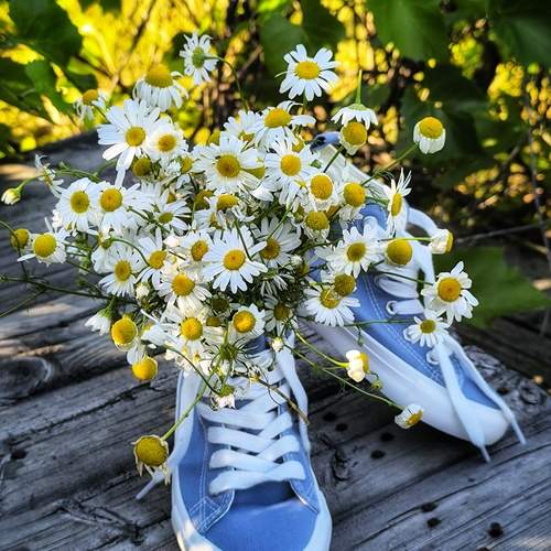 Photo #13228423